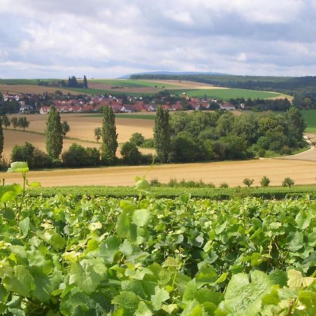Pension Und Weingut Hirschhof Offenheim Esterno foto