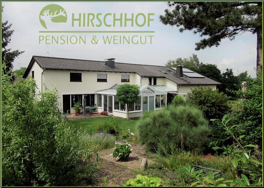 Pension Und Weingut Hirschhof Offenheim Esterno foto