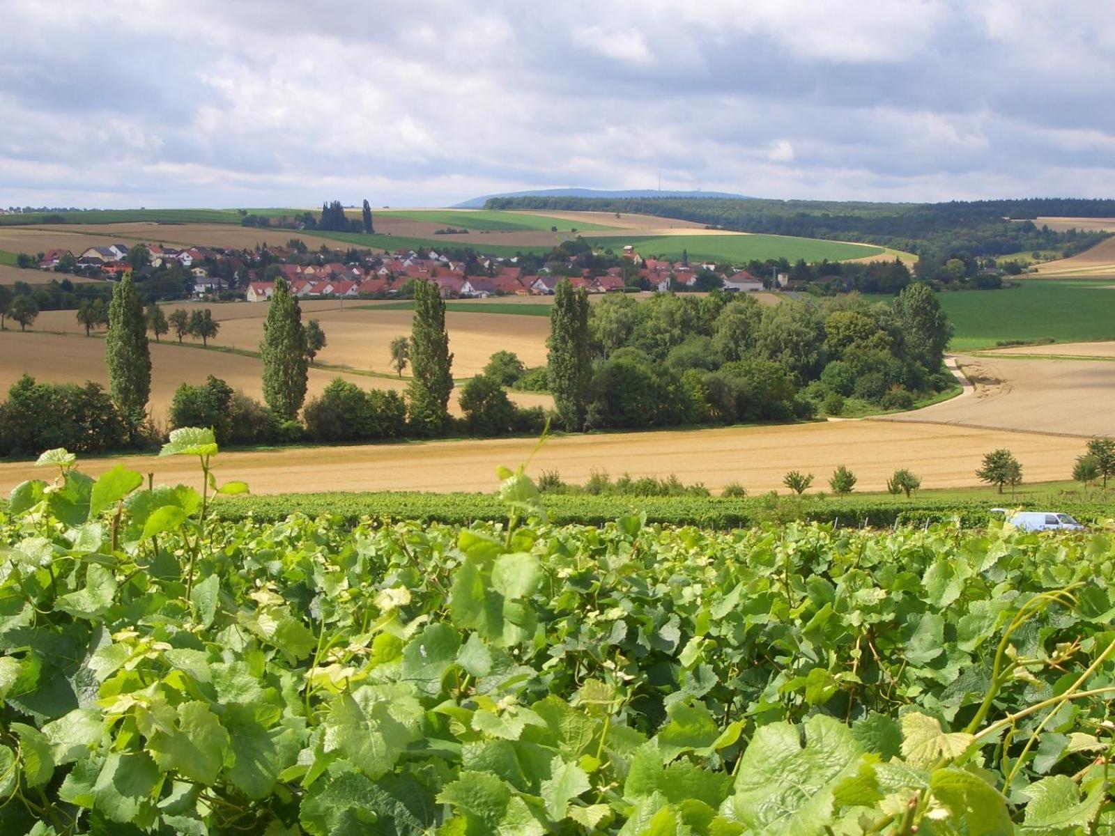 Pension Und Weingut Hirschhof Offenheim Esterno foto